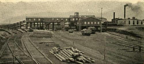  A photograph of the surface buildings of a coal mine in Inverness, circa 1920. Shown is a group of mine cars on a slope, coming out of a long building high off the ground, railway tracks and a pile of logs in the foreground, and to the right two buildings with smokestacks.