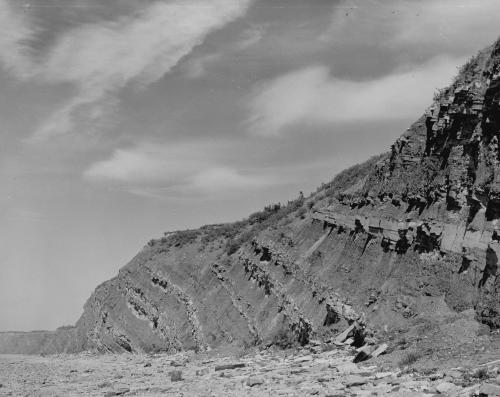 Coal-bearing rocks are exposed in the Joggins fossil cliffs. NS Dept. of Natural Resources scan 202310.