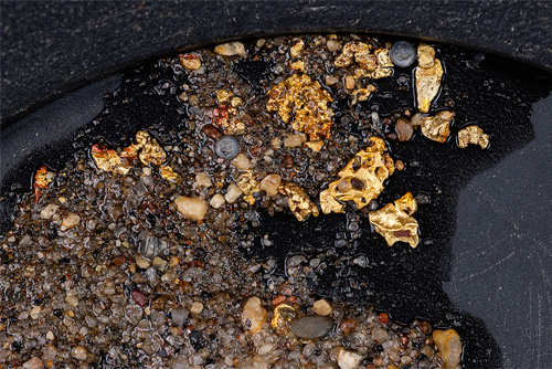 gold nuggets in a pan