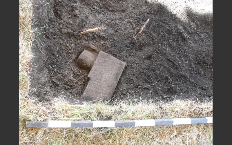 During the 2016 dig, this object started to emerge from the soil.