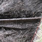 So far, this section of cast iron fish belly rail is the most interesting find. All four groups of diggers had participants who worked at exposing the rail. It is 74” long.