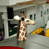 Can you spot the giraffe? He escaped from our circus car.