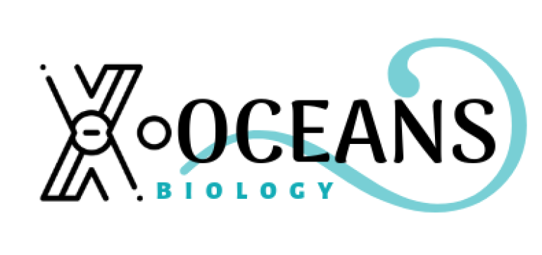 X-Oceans logo