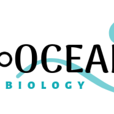 X-Oceans logo